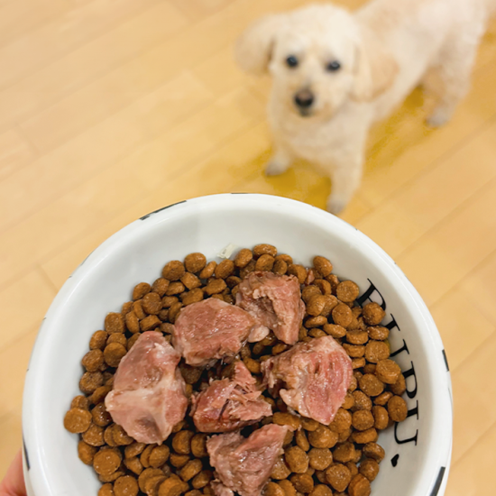 95cb7879494b577dcbb453f814ddf7